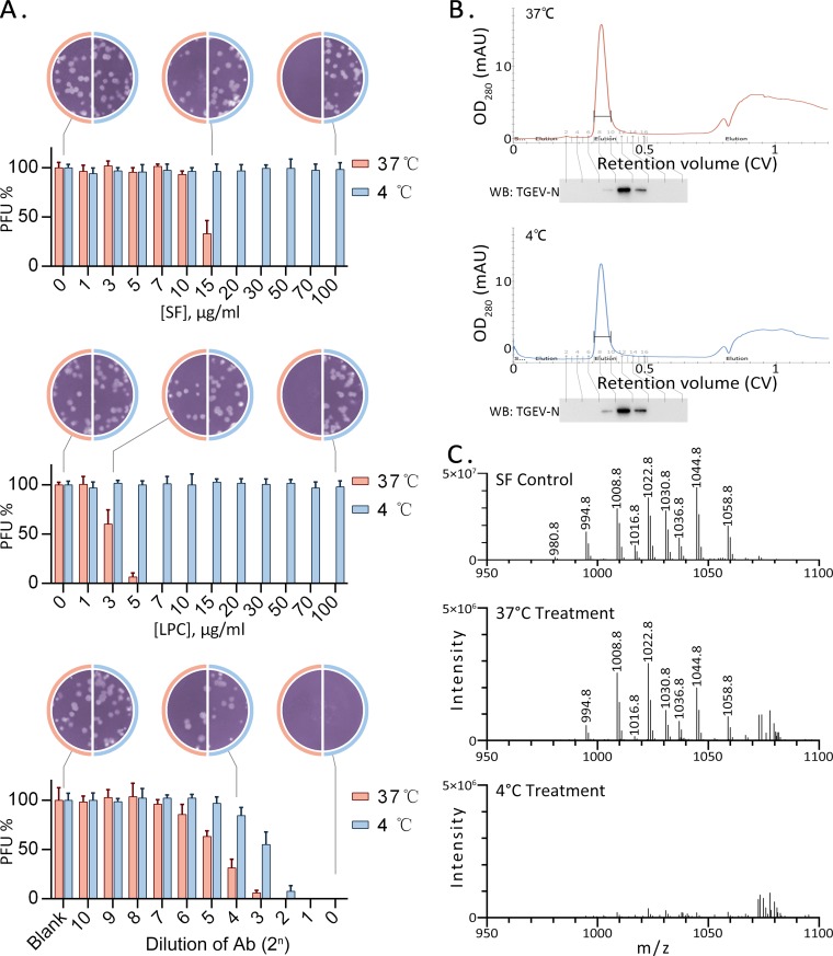 FIG 3