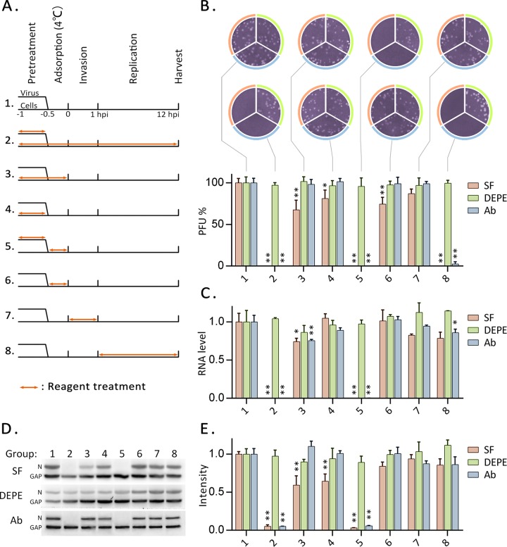 FIG 2