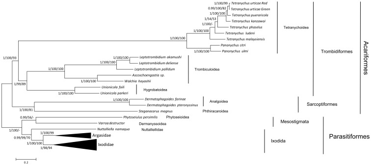 Figure 6