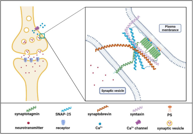 FIGURE 3