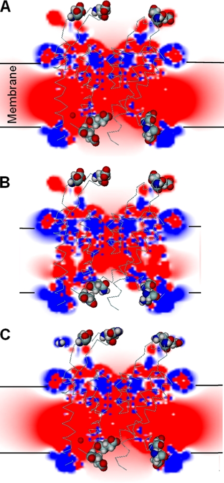 Figure 11.