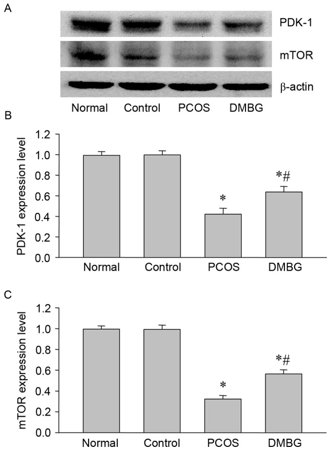 Figure 6.