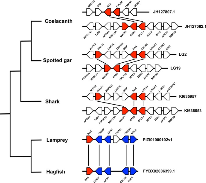 Fig. 2