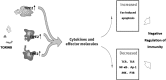 <b>FIG. 2.</b>