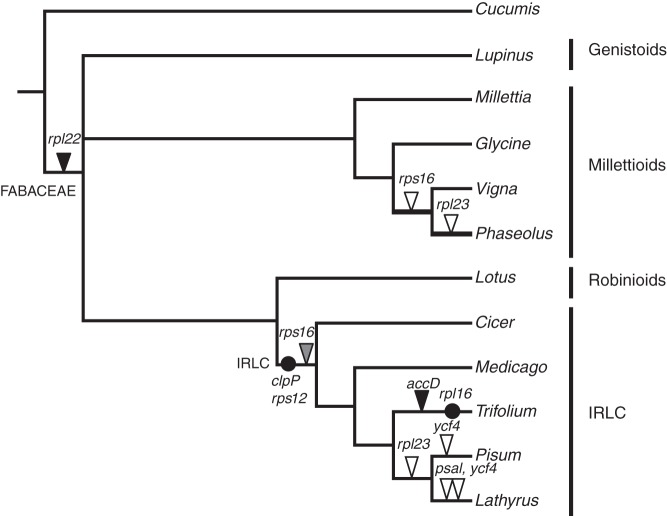 Fig. 6.