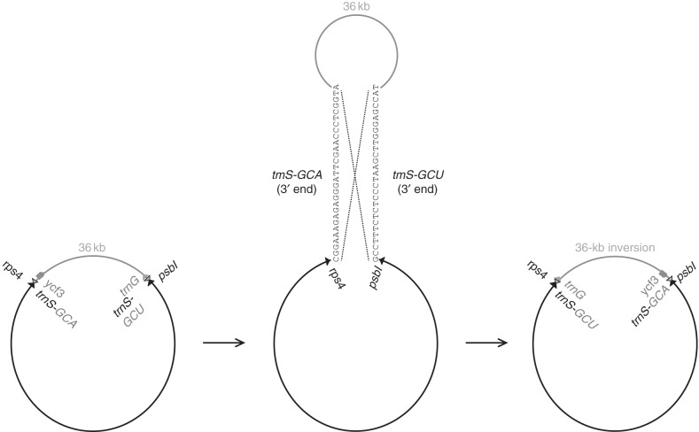 Fig. 5.