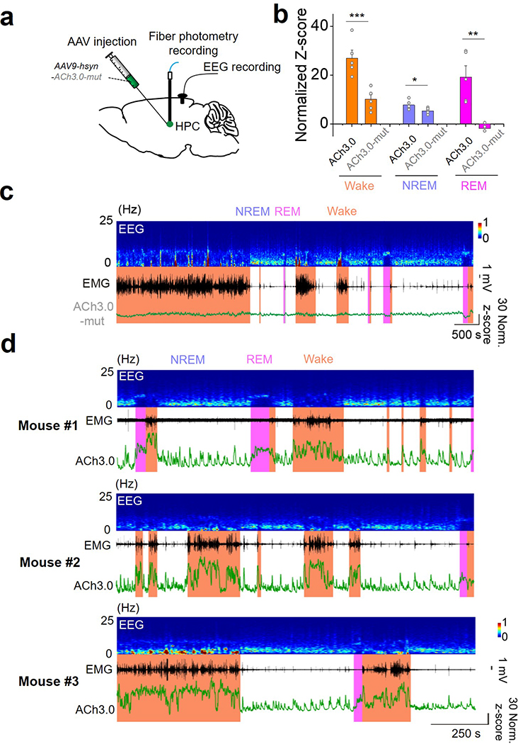 Extended Data Fig. 8