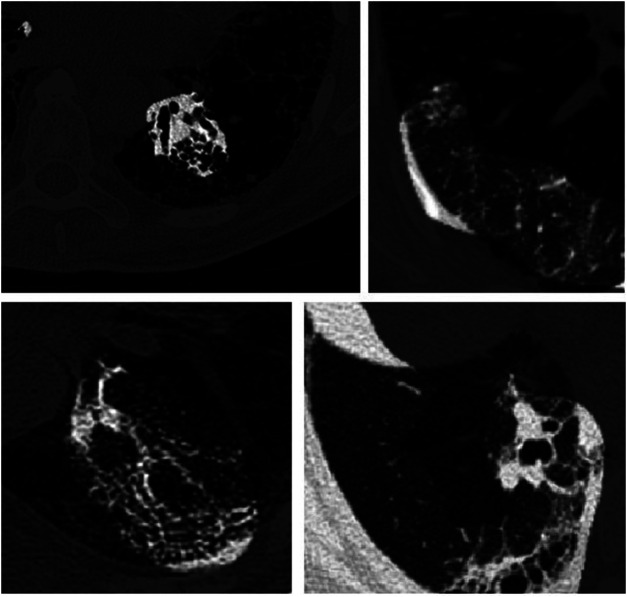 FIGURE 3