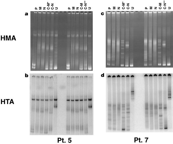 FIG. 5