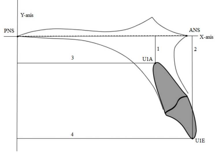 Fig. 3