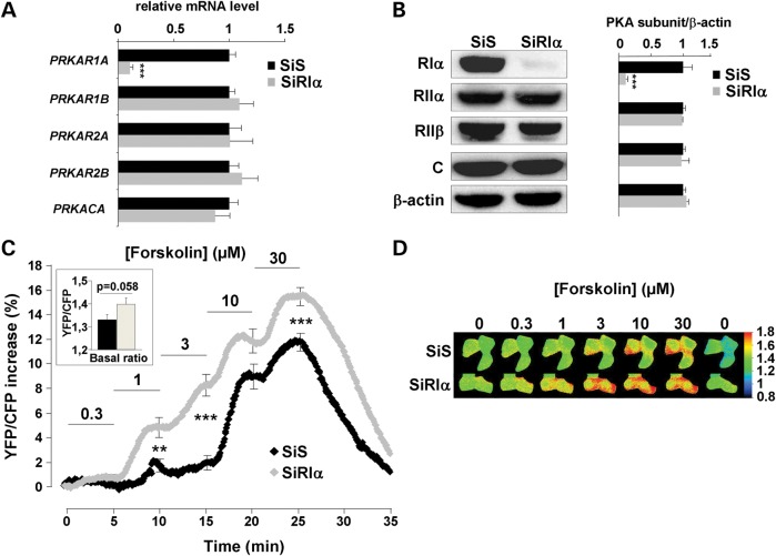 Figure 1.