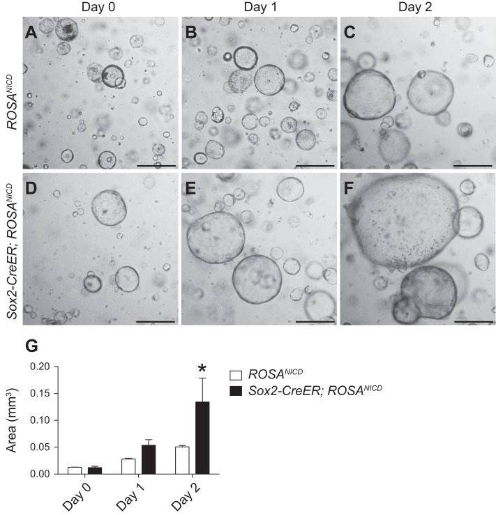 Fig. 9.