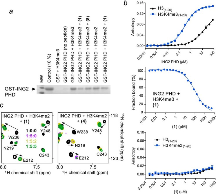 FIGURE 4.