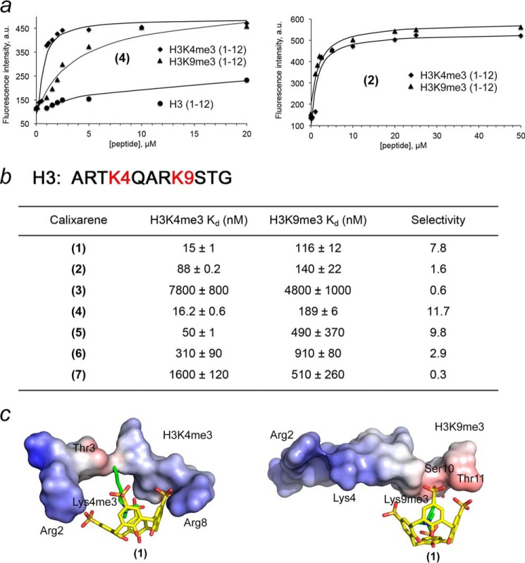 FIGURE 2.