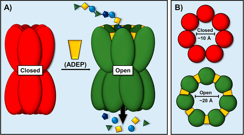 Figure 16