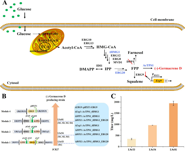 Fig. 6