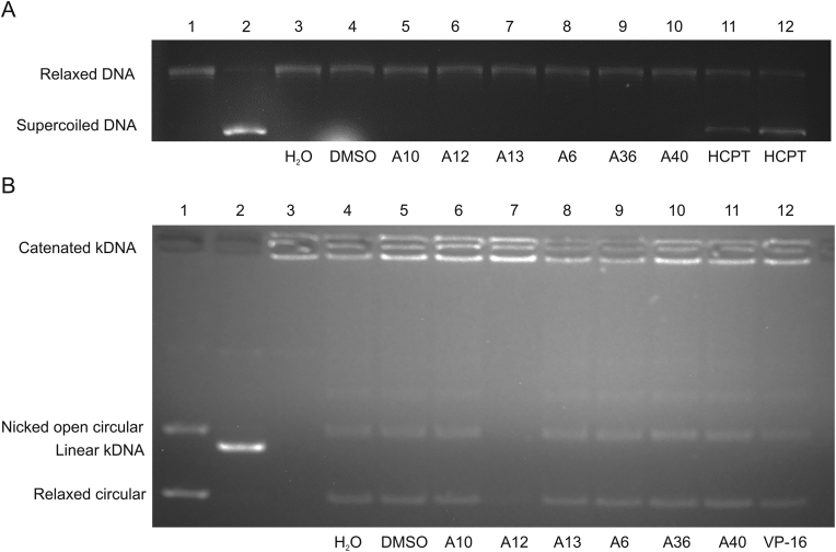 Fig. 4