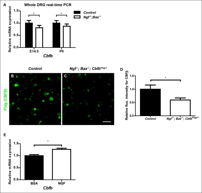 Figure 6—figure supplement 1.