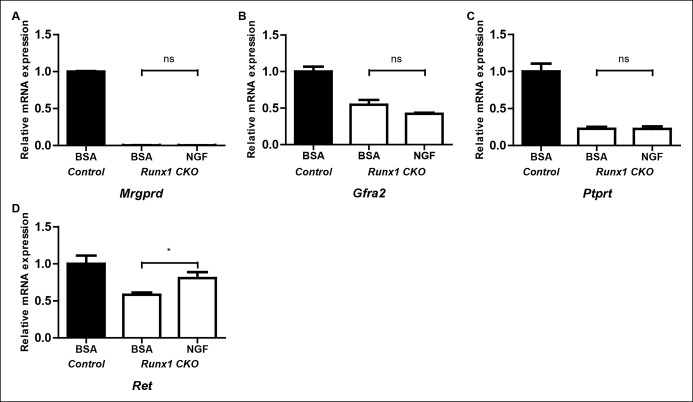 Figure 3—figure supplement 2.