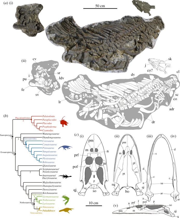 Figure 1.