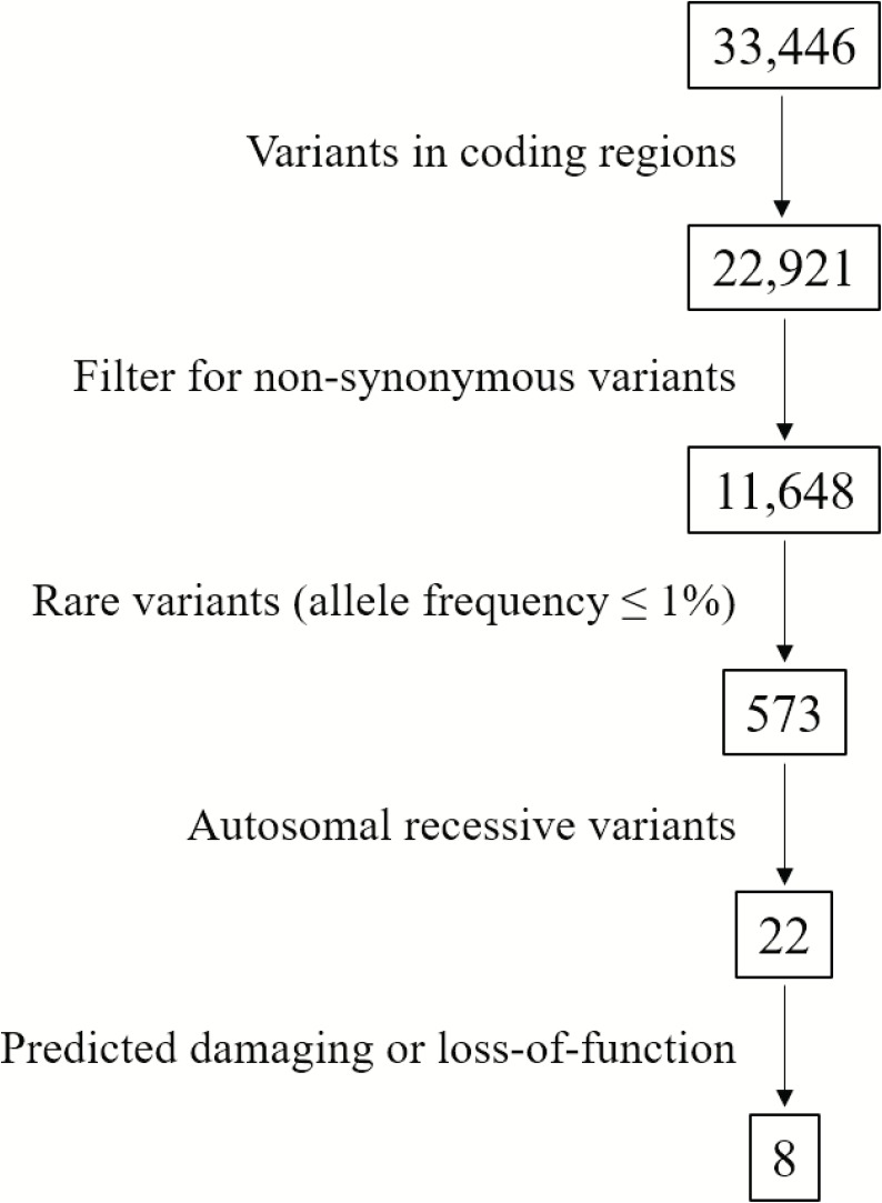 FIGURE 2