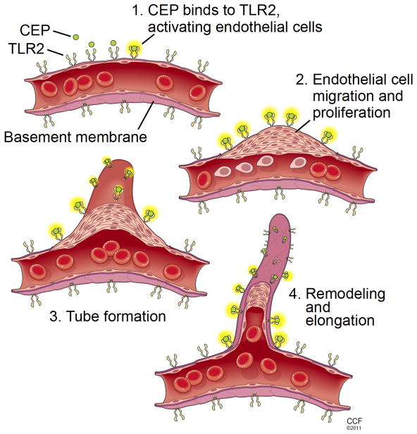 Figure 16