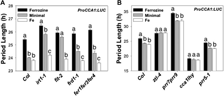 Figure 6.