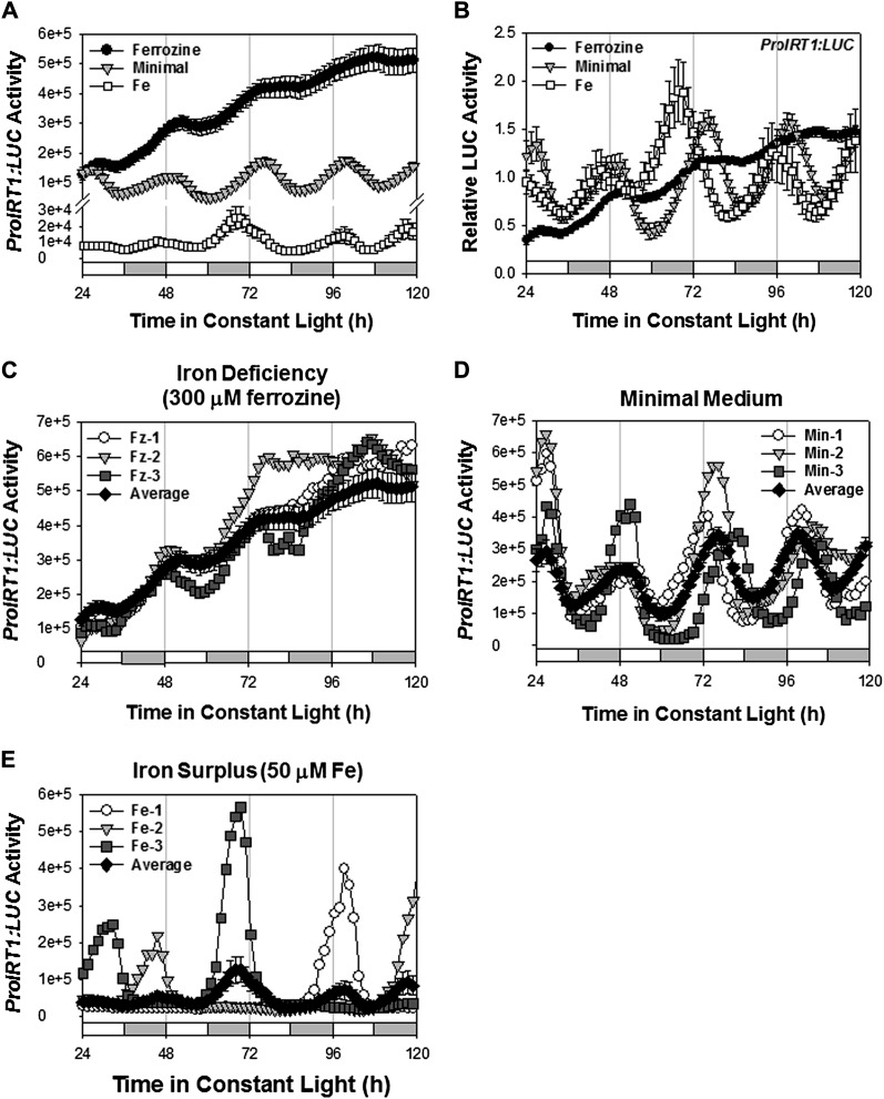 Figure 3.