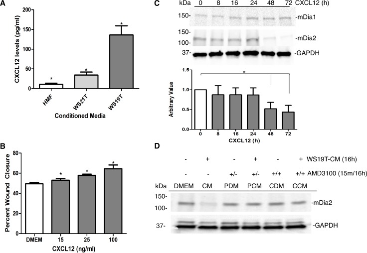 Fig 10