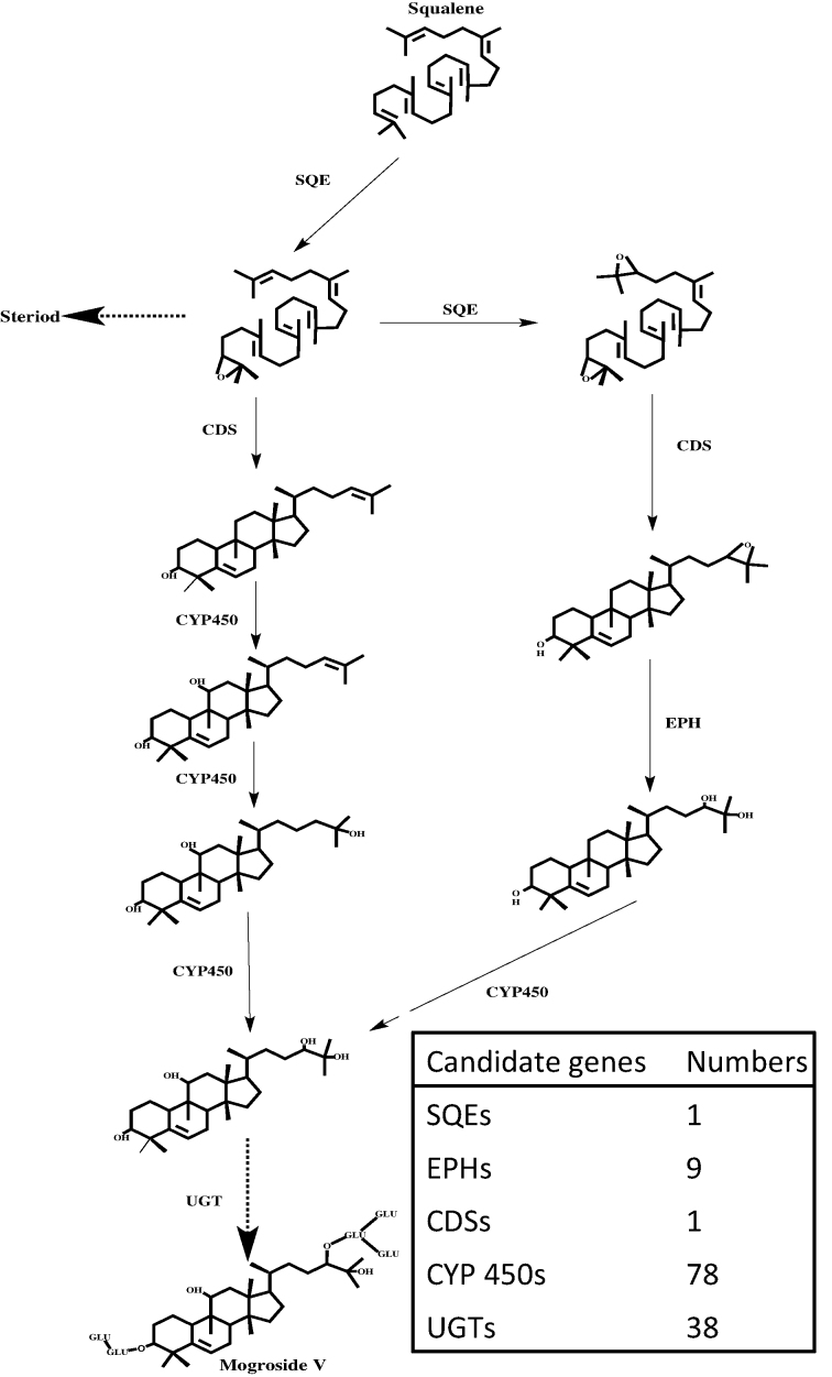 Figure 2: