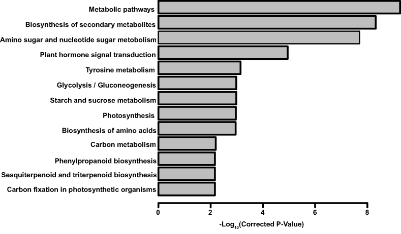 Figure 5: