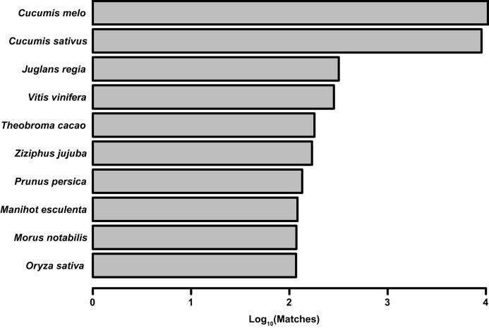 Figure 3: