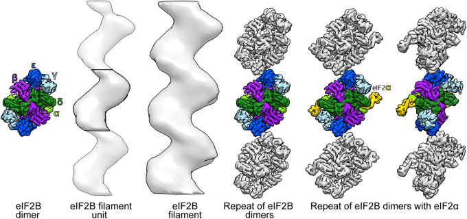 FIGURE 7: