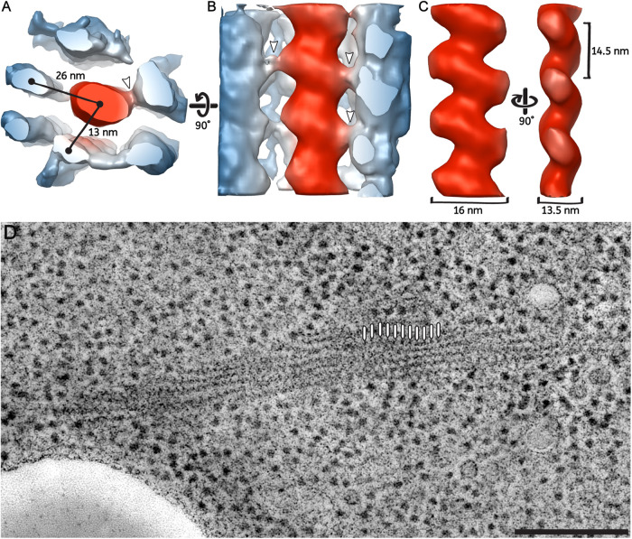 FIGURE 6: