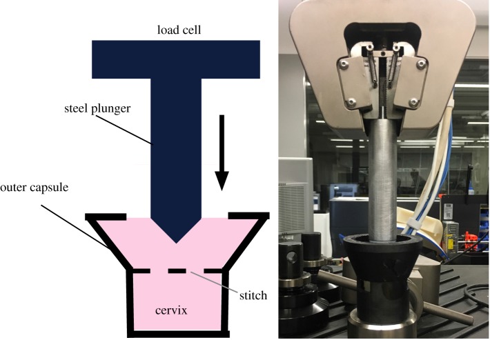 Figure 6.