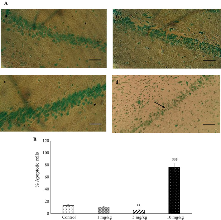 Fig. 6