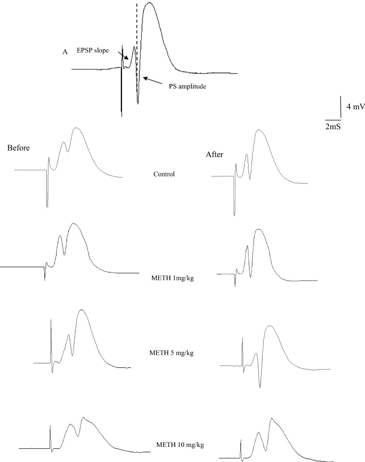 Fig. 2