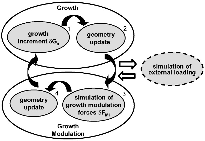 Fig. 2