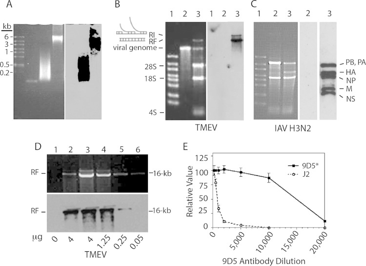 FIG 1