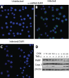 FIG 7