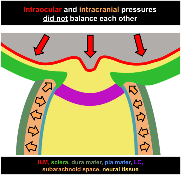 Figure 10: