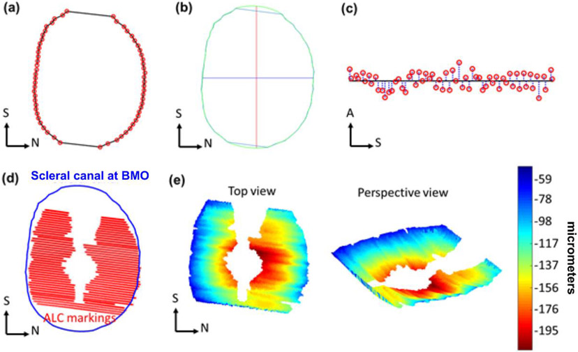 Figure 2: