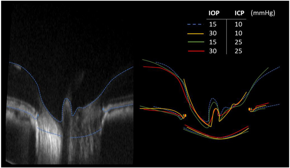 Figure 4: