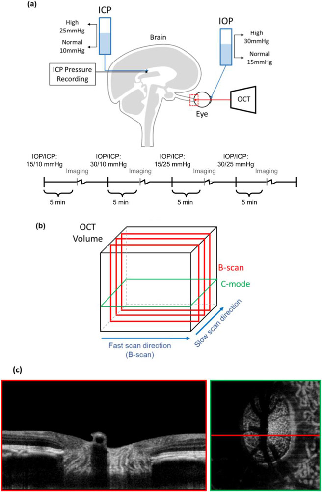 Figure 1: