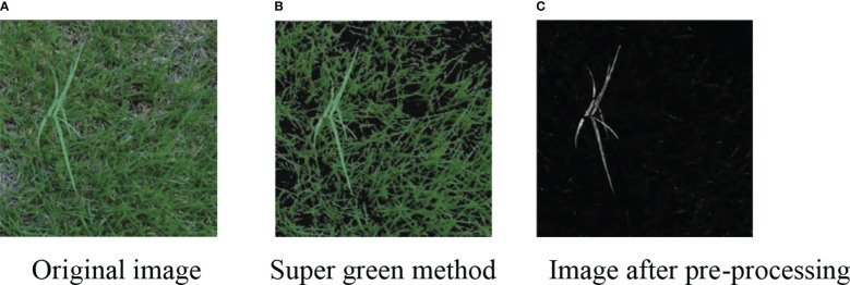 Figure 6