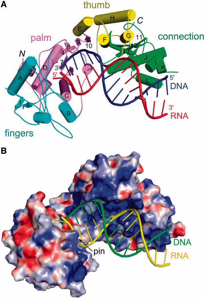 Figure 1.