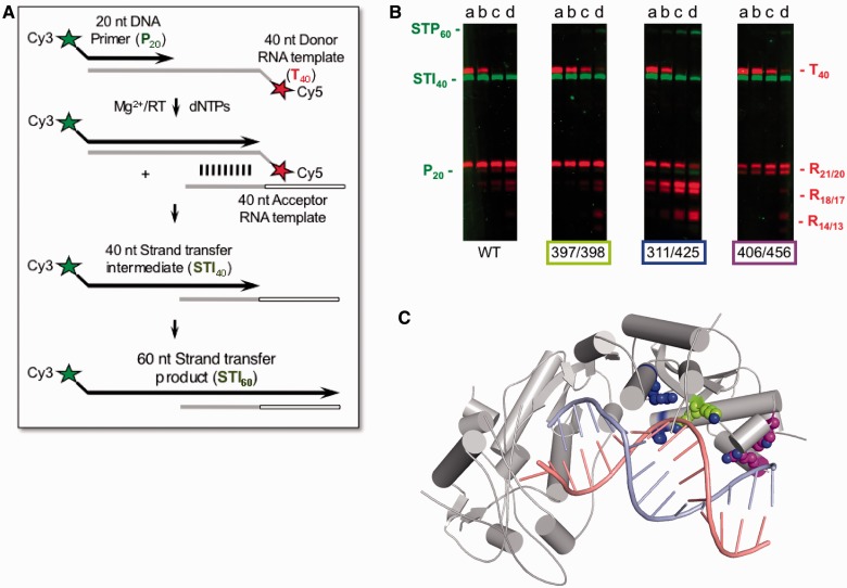 Figure 3.