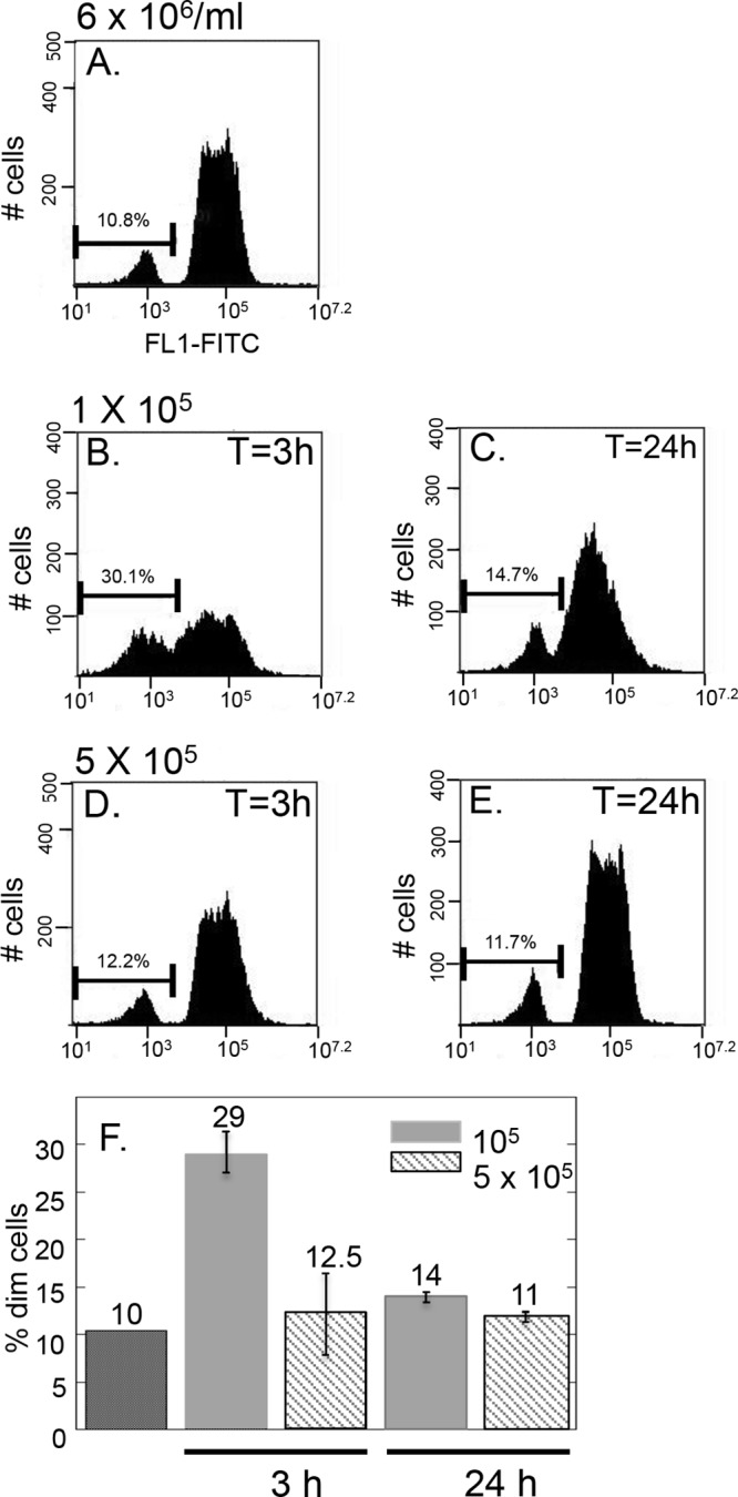 Fig 6