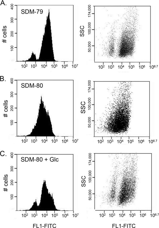 Fig 4