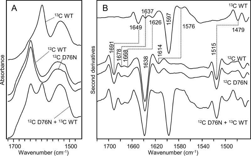 FIGURE 3.